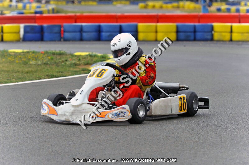DSC_ (1911).jpg